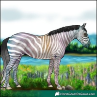 Horse Color:Brown Roan Rabicano 