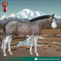 Horse Color:Gray Brown Roan Splash Rabicano 