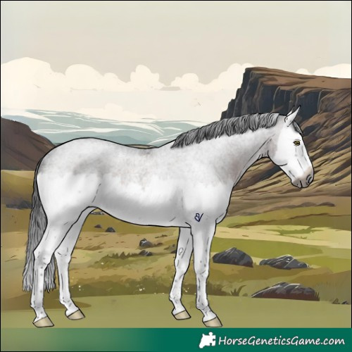 Horse Color:Gray Brown Roan Splash Rabicano 