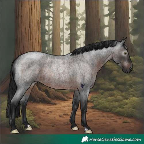 Horse Color:Gray Brown Roan Rabicano 