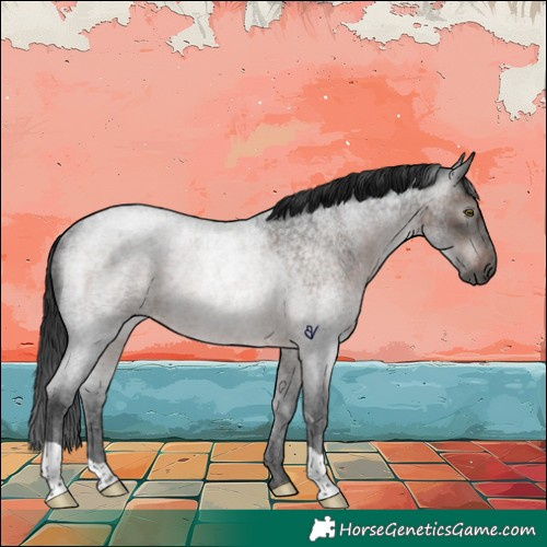 Horse Color:Gray Brown Roan Rabicano 