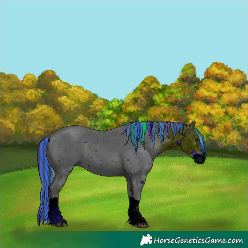 Horse Color:ERROR: UNKNOWN ANOMALY