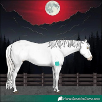 Horse Color:White Spotted Silver Brown Dun Splash Appaloosa Rabicano Brindle