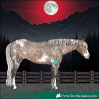 Horse Color:White Spotted Silver Brown Dun Splash Appaloosa Rabicano Brindle 