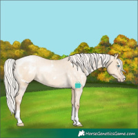 Horse Color:White Spotted Silver Buckskin Pearl Dun Splash Appaloosa Rabicano Brindle