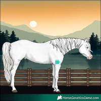 Horse Color:White Spotted Silver Buckskin Dun Splash Appaloosa Rabicano Brindle