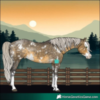 Horse Color:White Spotted Silver Buckskin Dun Splash Appaloosa Rabicano Brindle 