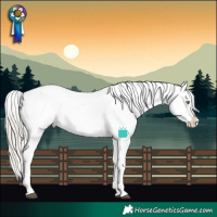 Horse Color:White Spotted Silver Buckskin Dun Splash Appaloosa Rabicano Brindle
