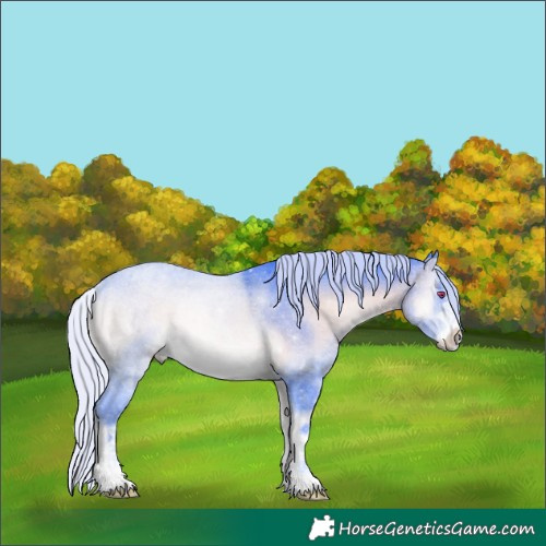 Horse Color:Watercolor Silver Brown Chinchilla Onyx Rabicano 