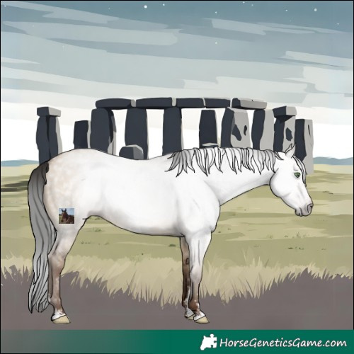 Horse Color:Gray Sable Champagne Dun Sabino Rabicano 