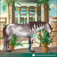 Horse Color:Chocolate Brown Chinchilla Dun Tobiano 