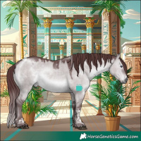 Horse Color:Chocolate Brown Chinchilla Dun Tobiano 