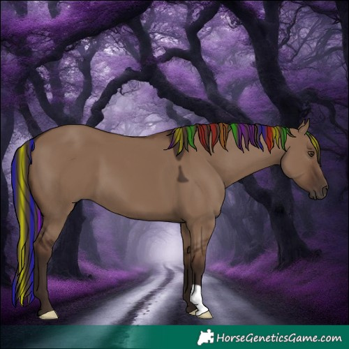 Horse Color:Painted Liver Red Dun 