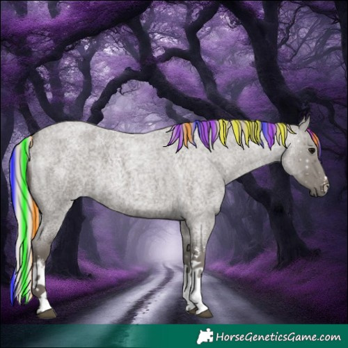 Horse Color:Painted White Spotted Silver Blue Roan 