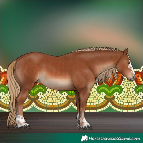 Horse Color:Chestnut  and Chestnut 