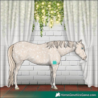 Horse Color:Smoky Creme Tobiano Appaloosa 