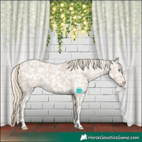Horse Color:Smoky Creme Tobiano Appaloosa