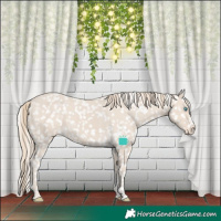 Horse Color:Smoky Creme Tobiano Appaloosa 