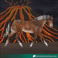 Horse Color:Brown Tobiano  and Silver Bay 