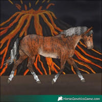 Horse Color:Brown Tobiano  and Silver Bay 