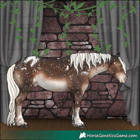 Horse Color:White Spotted Liver Chestnut Mushroom Sabino Appaloosa 
