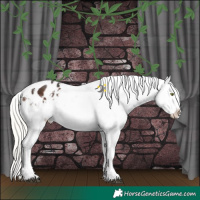 Horse Color:White Spotted Liver Chestnut Mushroom Sabino Appaloosa 