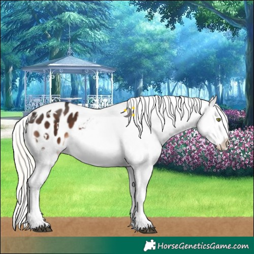 Horse Color:White Spotted Liver Chestnut Mushroom Sabino Blanket