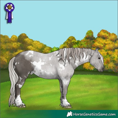 Horse Color:White Spotted Silver Black 
