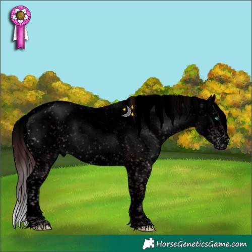 Horse Color:Void Platinum Chocolate Brown Sabino Splash 