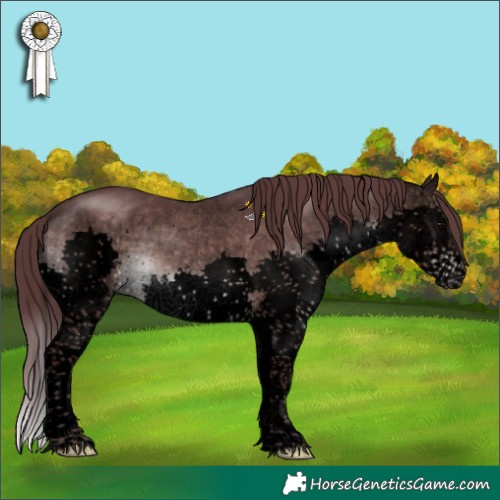 Horse Color:Void Platinum Chocolate Brown Sabino Splash 
