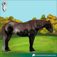 Horse Color:Void Platinum Chocolate Brown Sabino Splash