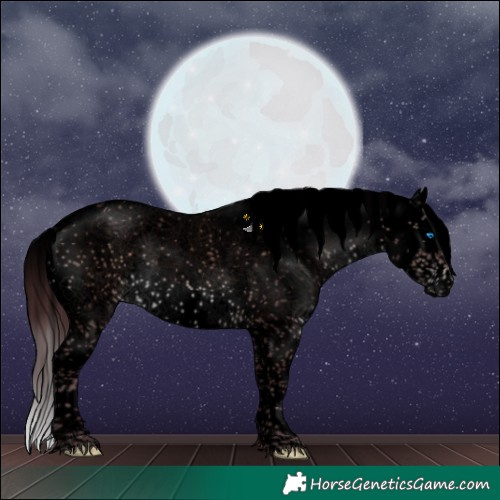 Horse Color:Void Platinum Chocolate Brown Sabino Splash 