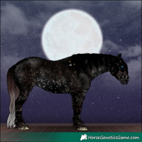 Horse Color:Void Platinum Chocolate Brown Sabino Splash 