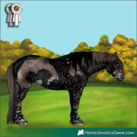 Horse Color:Void Platinum Liver Chestnut Sabino Splash Tobiano 