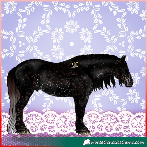 Horse Color:Void Platinum Chocolate Brown Sabino Splash 