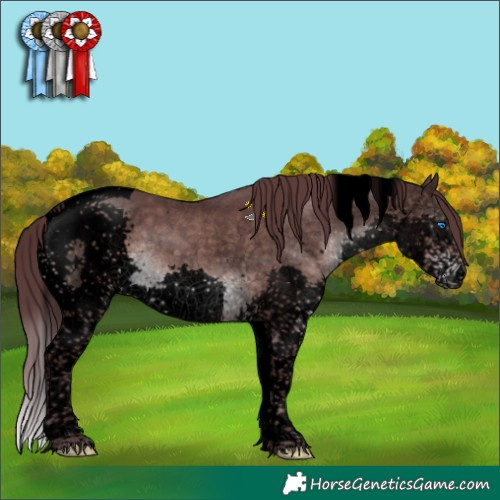 Horse Color:Void Platinum Chocolate Brown Sabino Splash Tobiano