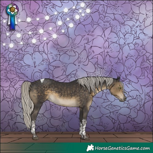 Horse Color:Silver Smoky Black Tobiano 