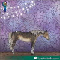 Horse Color:Silver Smoky Black Tobiano