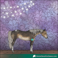 Horse Color:Silver Smoky Black Tobiano 