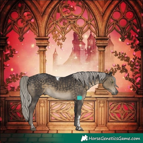 Horse Color:Silver Smoky Black Tobiano 