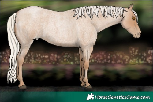 Horse Color:Silver Blue Roan Pearl 