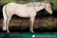Horse Color:Silver Blue Roan Pearl