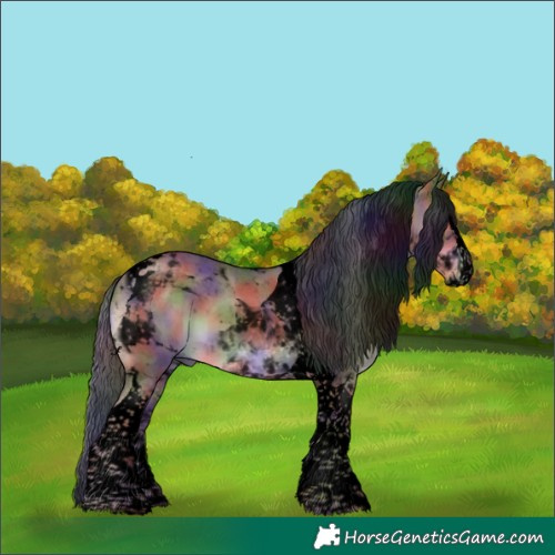Horse Color:Void Nacre Liver Red Dun Splash Tobiano 