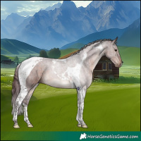 Horse Color:Chocolate Brown Tobiano 