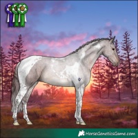 Horse Color:Chocolate Brown Tobiano 