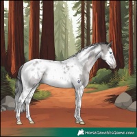 Horse Color:Platinum Brown Dun Splash Tobiano Frame