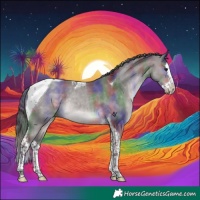 Horse Color:Platinum Nacre Brown Dun Splash Tobiano