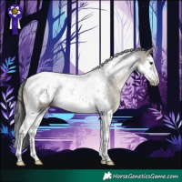 Horse Color:Brown Dun Splash Tobiano Frame