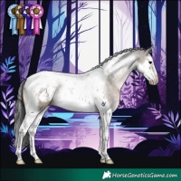 Horse Color:Brown Dun Splash Tobiano Frame 