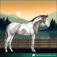 Horse Color:Platinum Chocolate Brown Dun Splash Tobiano Brindle 